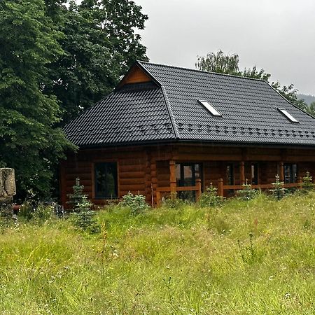 Chalet Pidstromom Mykulytschyn Exterior foto